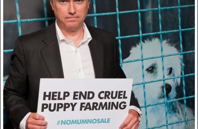 Henry Smith MP backs New Campaign targeting the Cruel UK Puppy Trade