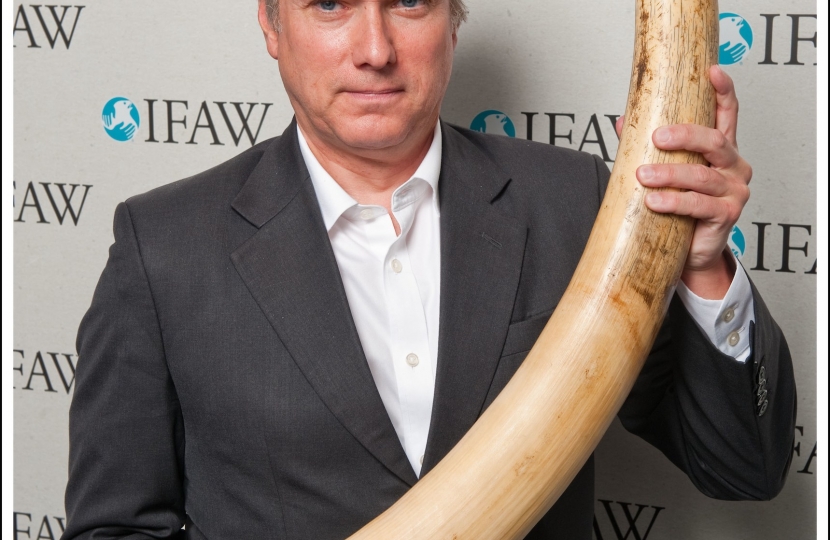 Henry Smith MP backs UK Ivory Surrender to Protect Elephants