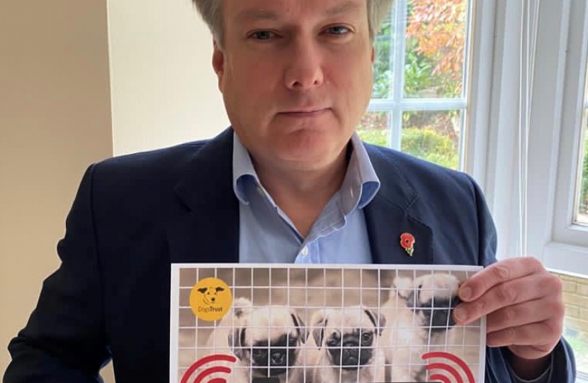Henry Smith MP joins Puppy Smuggling Task Force to tackle Horrifying Trade
