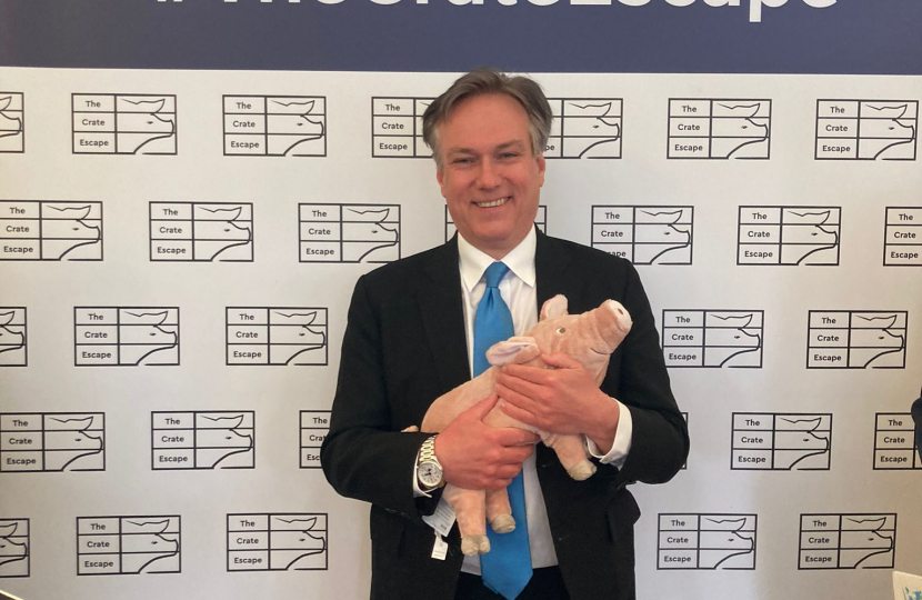 Henry Smith MP backs Ending the Use of Farrowing Crates