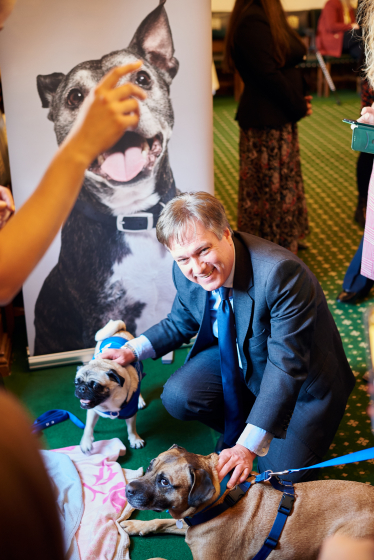Henry Smith MP shows support for Animal Rescues at Battersea Reception