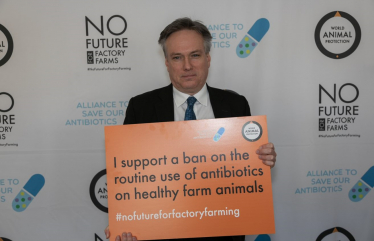 Henry Smith MP joins call for Government Ban on Routine Preventative Use of Antibiotics on UK Farms
