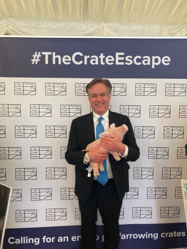 Henry Smith MP backs Ending the Use of Farrowing Crates